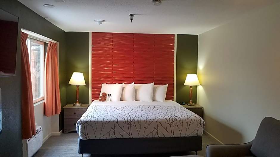 Roosevelt Inn Mount Rushmore