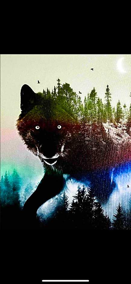 Photo 1 of 28 of The Wolfs Den