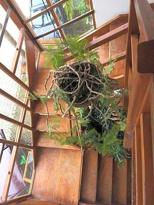 Belíssima e Afetuosa Casa em Juquehy