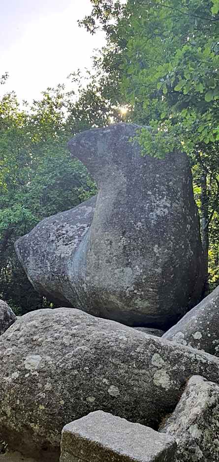 A l'Ecole Buissonnière, chambre d'hôtes en Sidobre