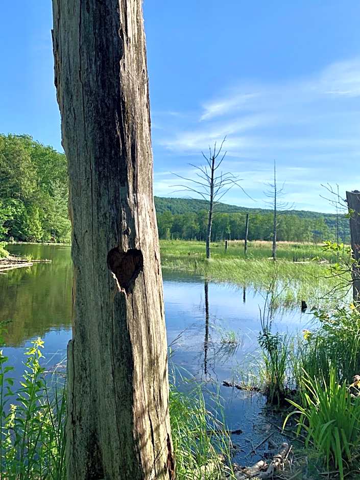 Au Gré Du Temps - Gîte B&B