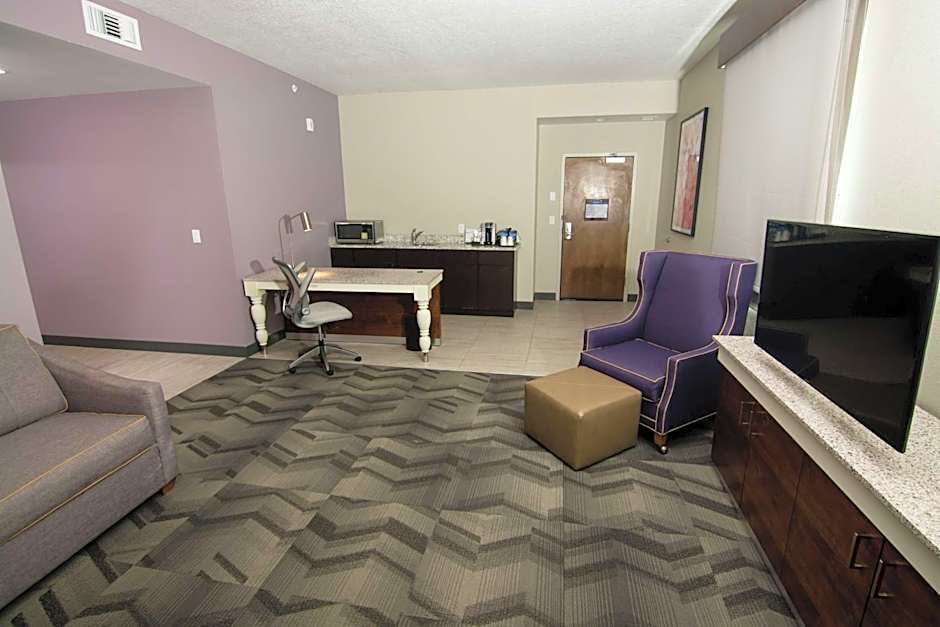 Hilton Garden Inn Tampa Suncoast Parkway