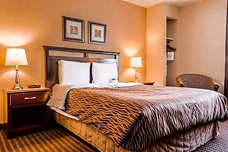 1 King Bed, Deluxe Room, Non-Smoking