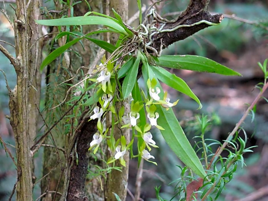 Arthur River Holiday Units
