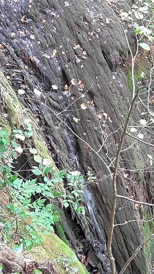 Mobile home Slapnica u Parku prirode Žumberak