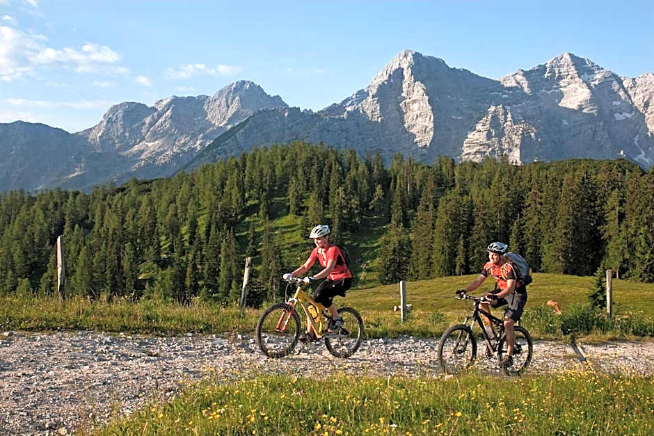 Hotel & Restaurant Dankl