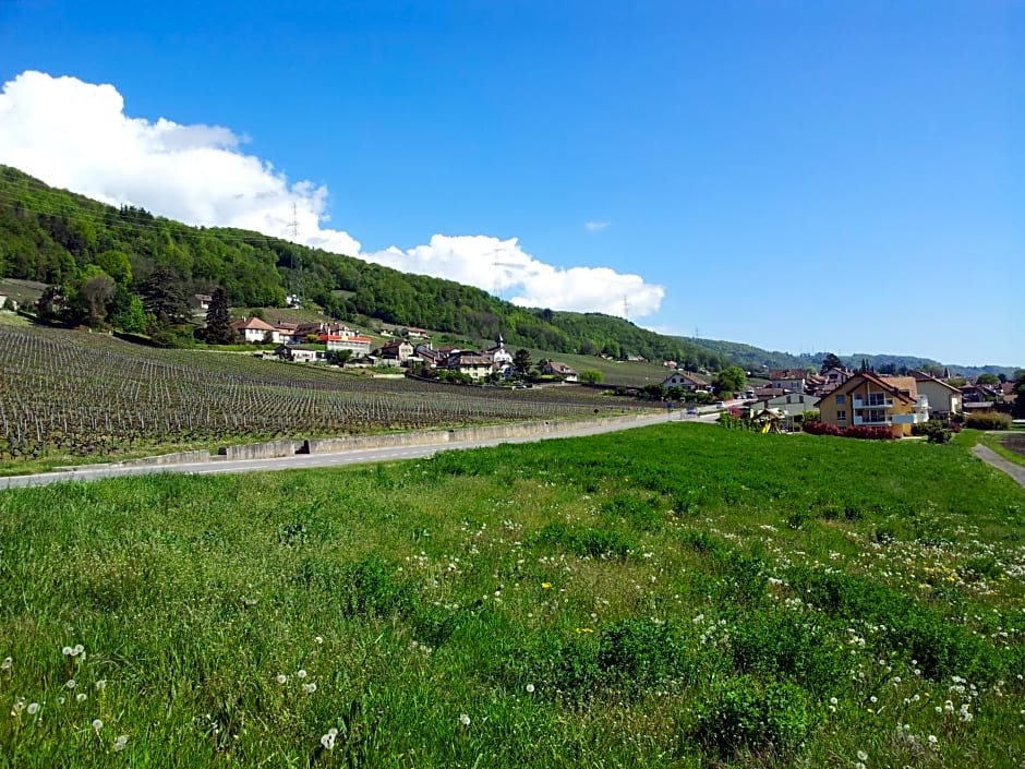 Au cœur du vignoble sur Bursins