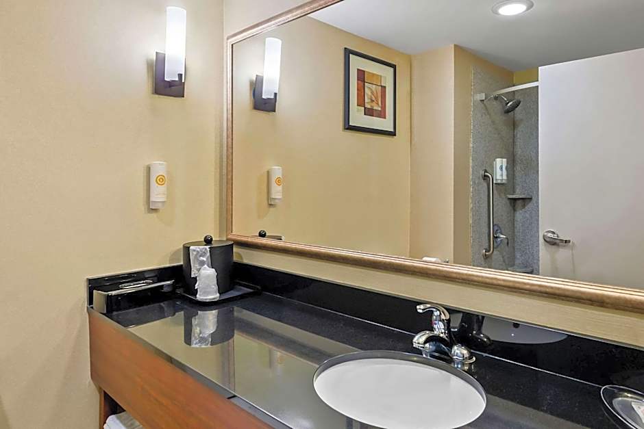 Comfort Suites Salem-Roanoke I-81