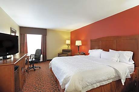 King Room with King Bed - Non-Smoking