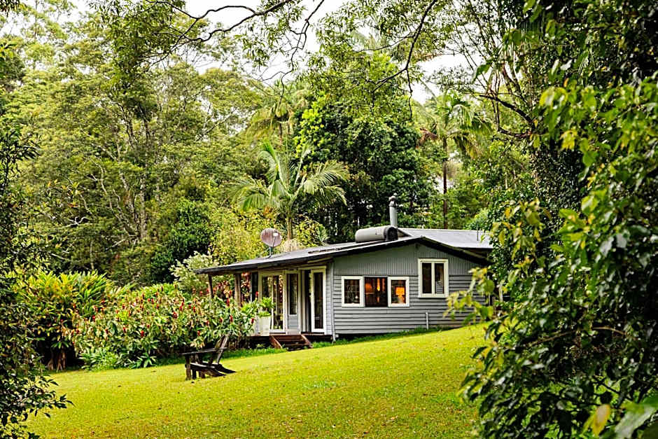 Nightcap Ridge - Byron Bay Hinterland
