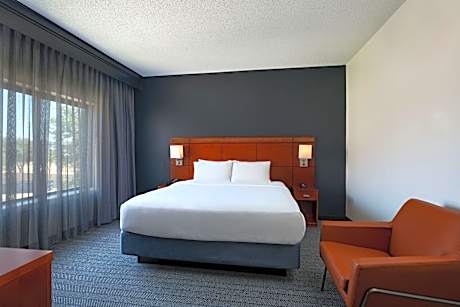 One-Bedroom Suite with 1 King Bed and Sofa Bed