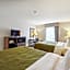 Quality Inn & Suites Dawsonville