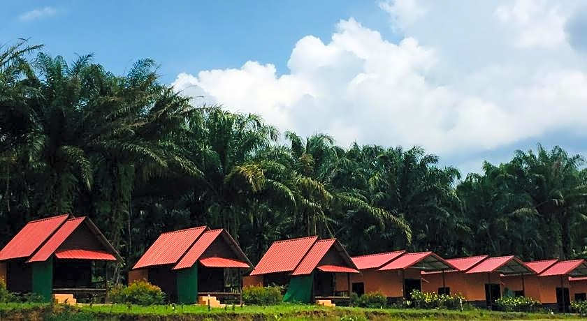 Khao Sok Evergreen House