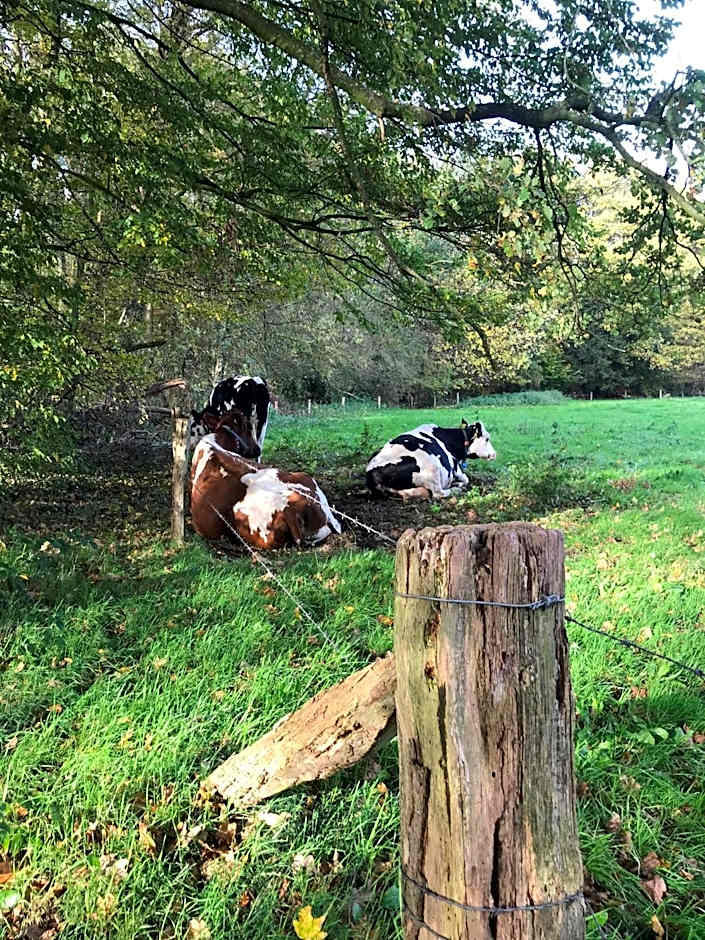 Hotel Wapen van Delden