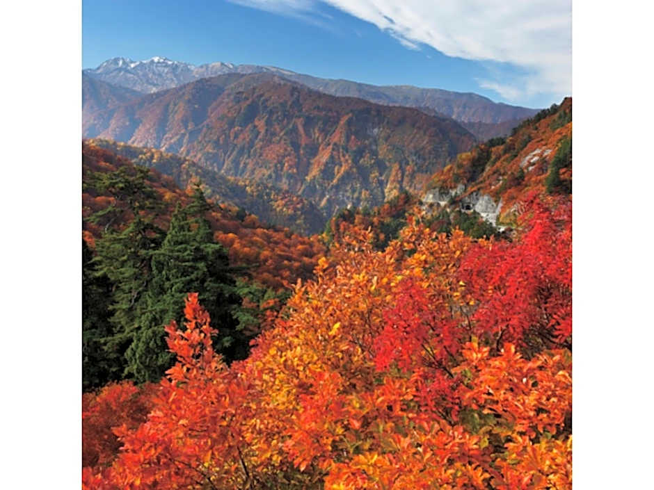 New Matto Terminal Hotel - Vacation STAY 01855v