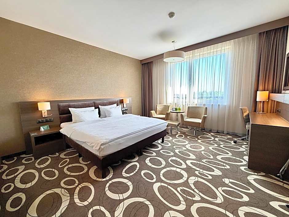 Holiday Inn Dabrowa Gornicza By IHG