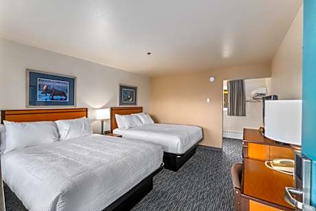 Standard Double Room (Dog Friendly)