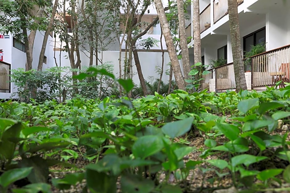Hotel Blanco Tulum