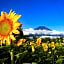 Minamitsuru-gun - Hotel / Vacation STAY 45535