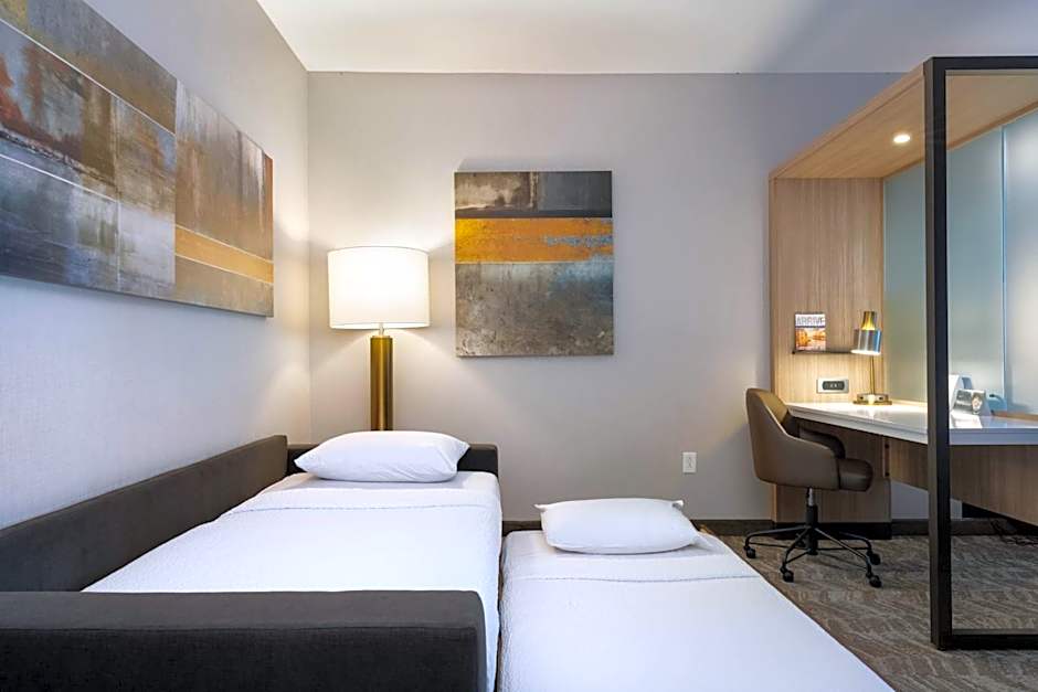 SpringHill Suites by Marriott Chattanooga South/Ringgold