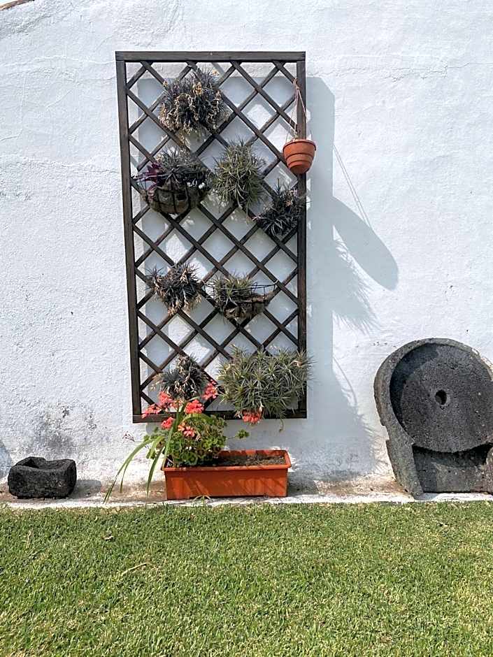 Apartamentos São João