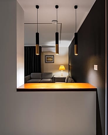Deluxe One-Bedroom Apartment