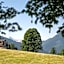 Alpin Residenz Dachsteinperle