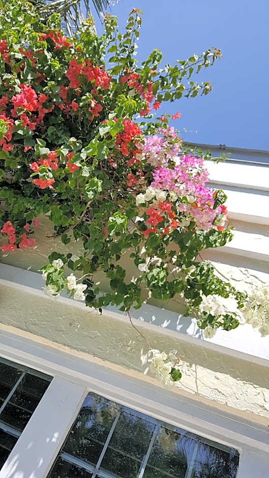 The Caribbean Court Boutique Hotel