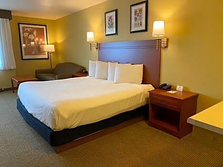 King Room with Roll-in Shower - Mobility Access/Non-Smoking