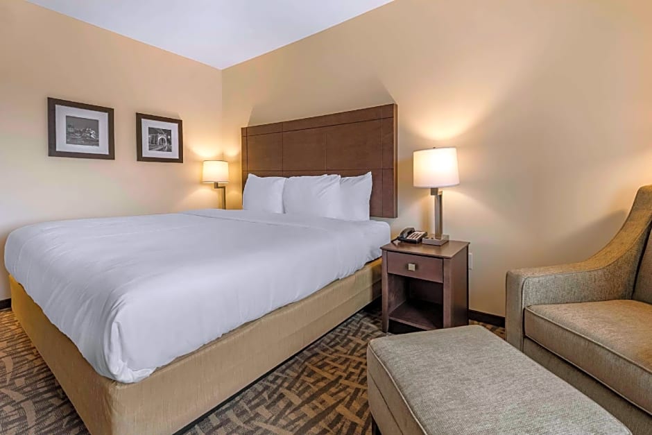 Comfort Inn & Suites Pittsburgh-Northshore