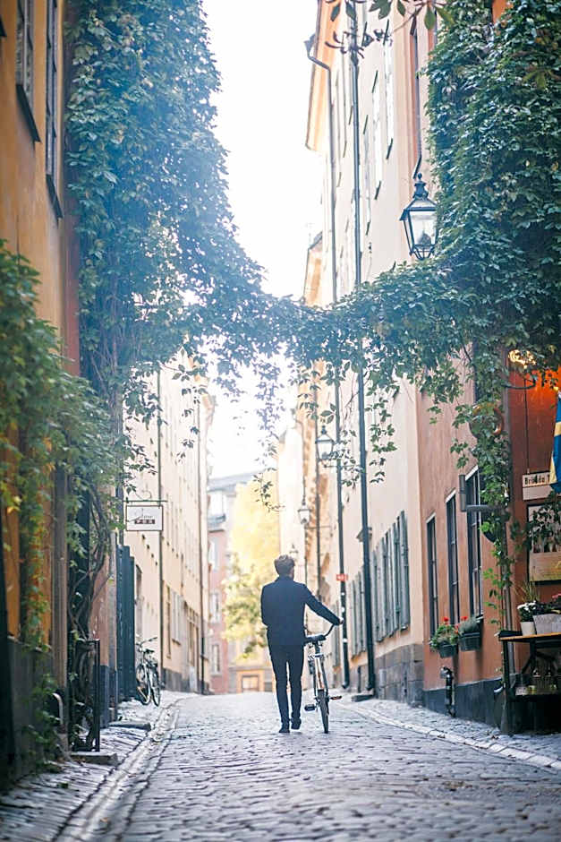 Lady Hamilton Apartments