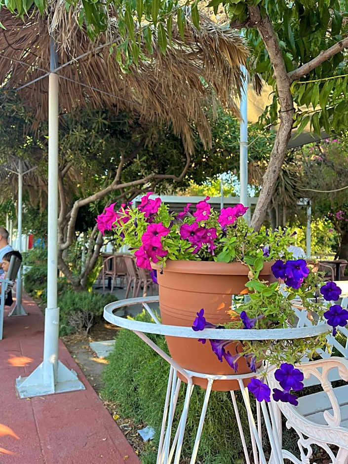 Theodorou Beach Hotel Apartments