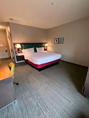 King Room with King Bed - Non-Smoking