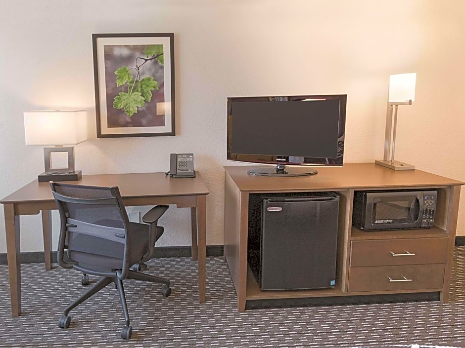 La Quinta by Wyndham Arlington North 6 Flags Dr