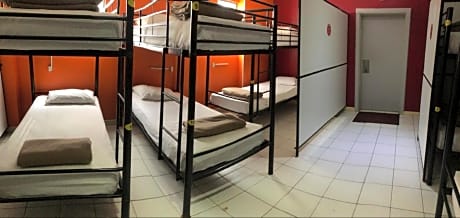 Bunk Bed in 14-Bed Female Dormitory Room