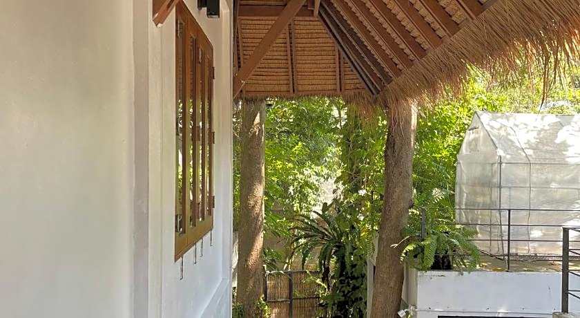 Big Tree Boutique Hotel