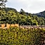 Agroturismo Son Boronat