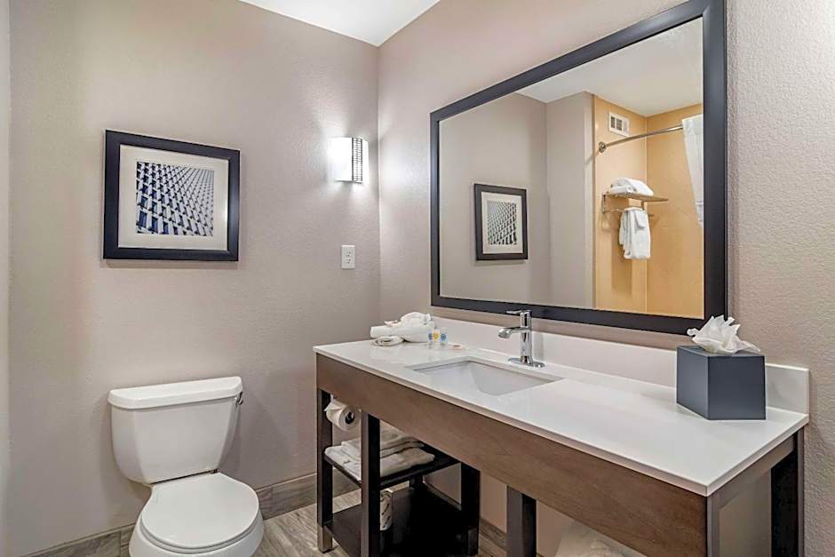 Comfort Suites McDonough Atlanta South