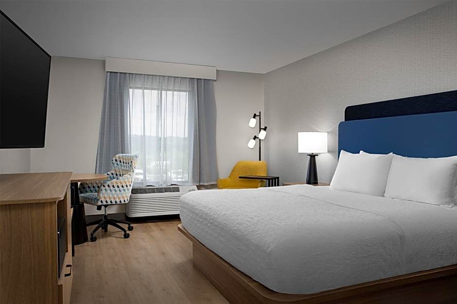 Hampton Inn Lenoir City