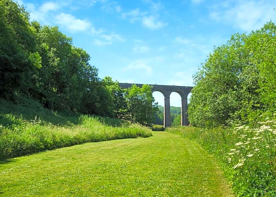 Lime Tree Park