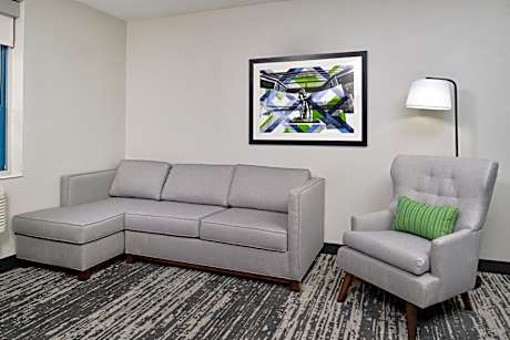 Suite, 1 King, Sofa bed