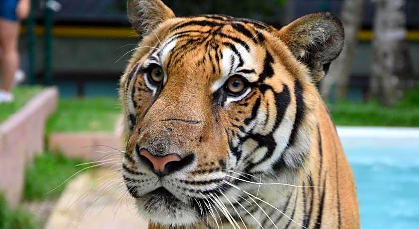 OYO 292 The Oddy Hip Hotel