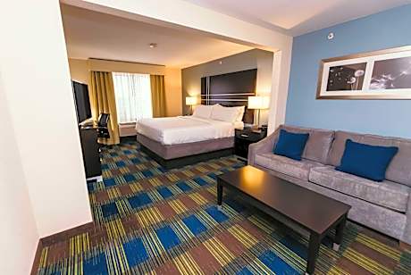 1 King Bed Sofa Bed Mobility Accessible Suite Non-Smoking