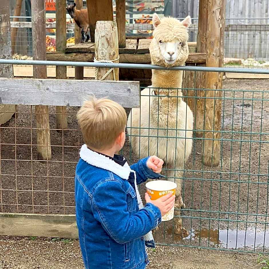 Bed & Breakfast Reaktiv