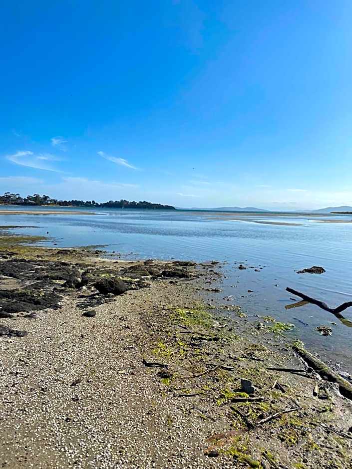 Seagrass Coastal Retreat with direct beach access