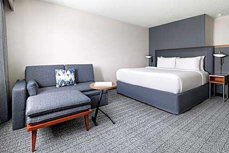 Large King Room with Sofa Bed