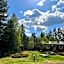 Nya Skogsgården Hostel