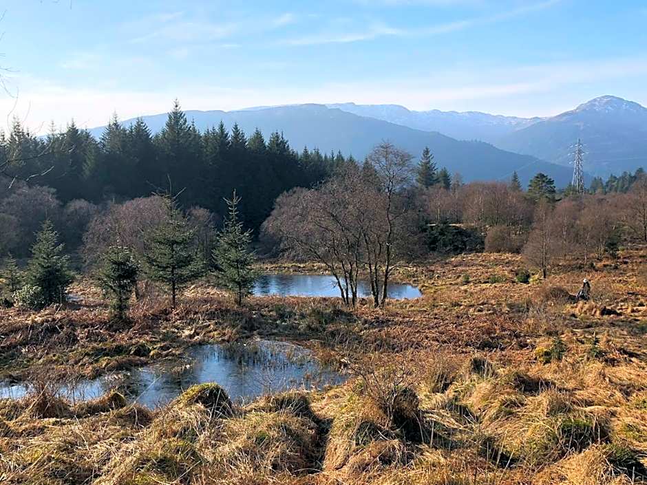 Pucks Glen Lodges - Cosy Lodges in a Woodland Setting