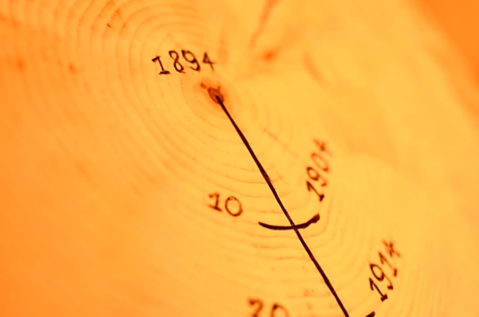 Park Hotel Bellacosta