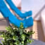 Bedrooms AP Garden